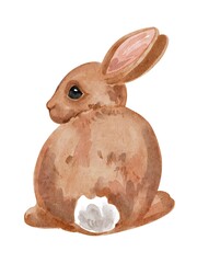 Hand Drawing Watercolor cute Brown Rabbit. Use for poster, card, children’s book, stickers, print, design