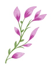 Hand Drawing Watercolor Abstract Plant Branch. Purple and green colors. Use for poster, design, decor, print, shop, stickers, pattern, packaging, fabric, textile