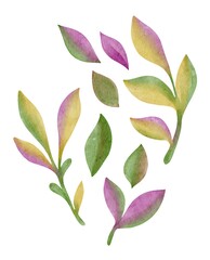 Hand Drawing Watercolor Abstract Leaves Set. Use for poster, design, decor, print, shop, stickers, pattern, packaging, fabric, textile