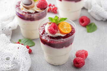 Panna cotta dessert with raspberry and mint