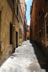 Empty narrow streets of Rome, Italy. Traditional, picturesque Roman alley.
