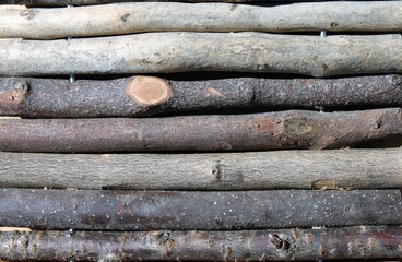 wooden sticks are lined up in parallel