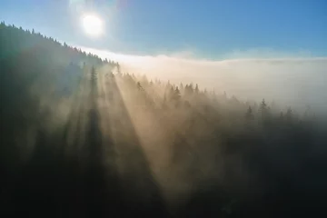Zelfklevend Fotobehang Aerial view of foggy evening over dark pine forest trees at bright sunset. Amazingl scenery of wild mountain woodland at dusk © bilanol