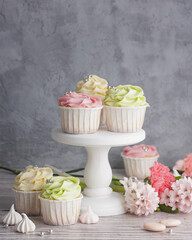 Spring pastel colored cupcakes and flowers