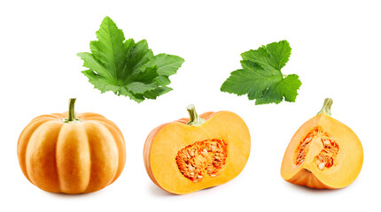Ripe pumpkin with leaves