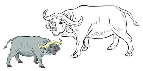 Large wild animal buffalo, black and white image. Coloring book for kids. Vector drawing.