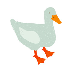 Poultry Farm Duck Composition