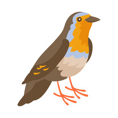 European Robin Bird Composition