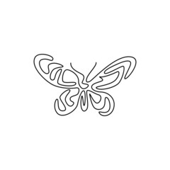 butterfly on white background