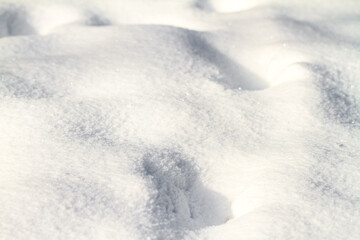 Fototapeta na wymiar Background texture of fresh white winter snow