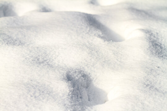 Background texture of fresh white winter snow
