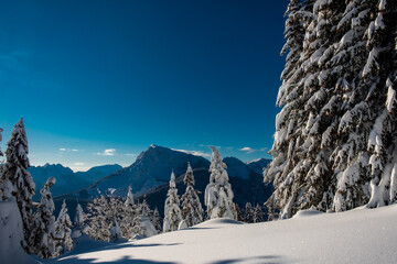 Ski mountaineering in the Carnic Alps, Friuli-Venezia Giulia, Italy