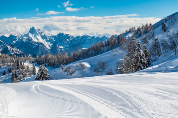 Ski mountaineering in the Mount Zoncolan ski area, Carnic Alps, Friuli-Venezia Giulia, Italy