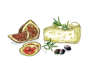 553_cheese soft cheese, figs, olives, rosemary, still life on a white background