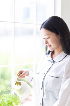 植物に水やりをする女性