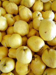 Quinces on a farmers market stall in the Aegean coastal town Bodrum, Turkey.   