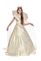 Happy little girl in carnival costume posing isolated