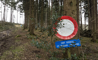 Panneau de chemin forestier interdit sauf services et travaux forestiers