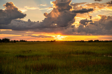 a typical african sunset with a wide view over the savannah, Botswana