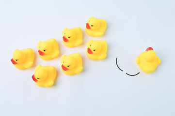 Toy duck heading with different directions. Business innovation and unique idea concept.