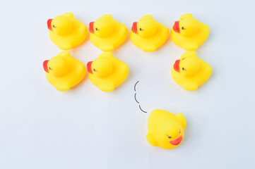 Toy duck heading with different directions. Business innovation and unique idea concept.