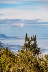 Paisaje con árboles y montañas en el municipio de Santa Úrsula