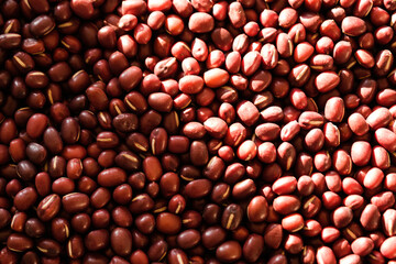 Adzuki beans or red mung bean, is an annual vine widely cultivated throughout East Asia for its small bean.