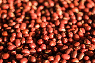 Adzuki beans or red mung bean, is an annual vine widely cultivated throughout East Asia for its small bean.