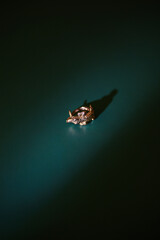 Gold ring in the shape of a crocodile on an emerald color background with a beam of light