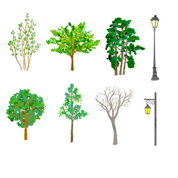 街路樹 Images Browse 18 906 Stock Photos Vectors And Video Adobe Stock