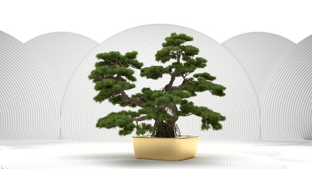 bonsai tree on a white background. 3d rendering