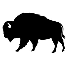 Bison Silhouette, buffalo silhouette