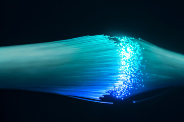 Illuminated optical fibers - obrazy, fototapety, plakaty