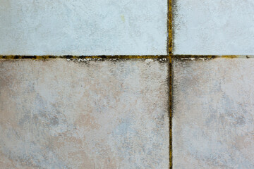 Detail Of The Mold On The Tiles