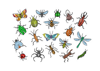 Fototapeta na wymiar Set of insects in color drawn in doodle style.Hand made.Vector illustration.