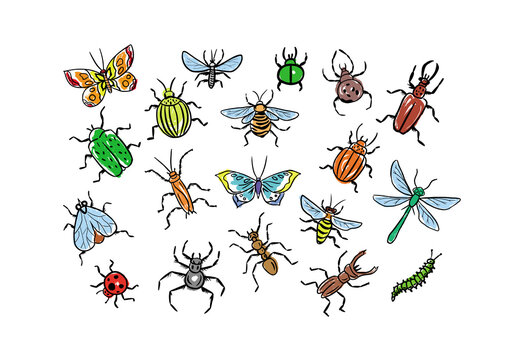 Set of insects in color drawn in doodle style.Hand made.Vector illustration.