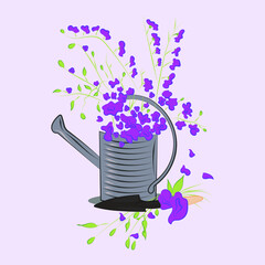composition of flowers in a garden watering can. watering can isolated on a white background. Gardening tools.