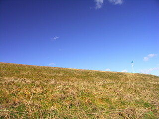 Obraz premium 歩行者と自転車の専用道路のある早春の江戸川土手風景