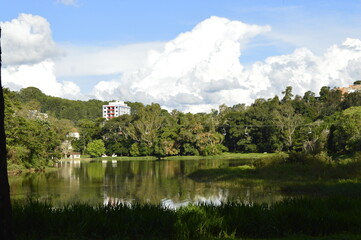 Fototapeta premium Lago com floresta ao fundo com prédio entre as árvores