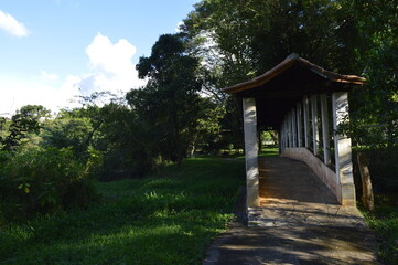 Caminho no meio da natureza