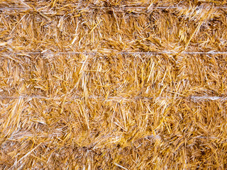 Golden straw stack tightened with straps. Background texture