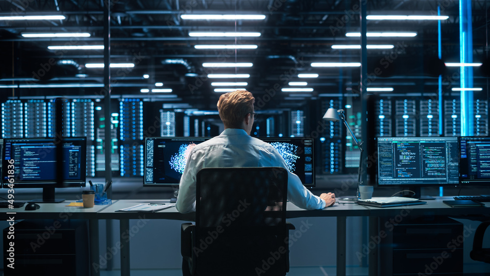 Poster Back View of the Male Computer Engineer and Scientist Create Neural Network. In Office Displays Showing 3D Simulation of Big Data, Machine Learning Processes, Web3 Programming Concepts