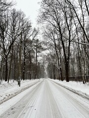 Obraz premium An abandoned snowy winter road. Empty road after blizzard in winter park. Cold. Winter. Forest