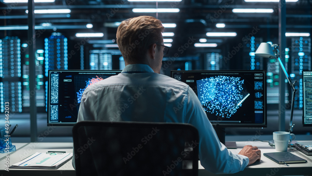Poster Back View of the Data Analysts Work on Visualisation with Machine Learning on Two Computer Screens in Modern Office. Data Science in Business, Finance and Innovation.