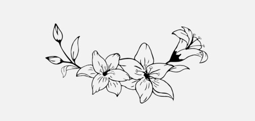 Hand drawn black lily flower semicircle wreath composition in cute doodle style. Luxury elegant sketch vector illustration for postcard, wedding invitations, birthday, thank you card, logo, cosmetics. - obrazy, fototapety, plakaty