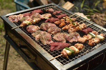 バーベキュー　焼き鳥と香草焼き
