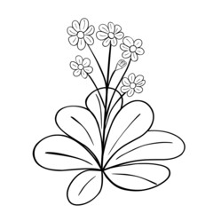 Obraz premium Hand drawn flower isolated on white background. Vector floral summer element. Decorative doodle sketch illustration.