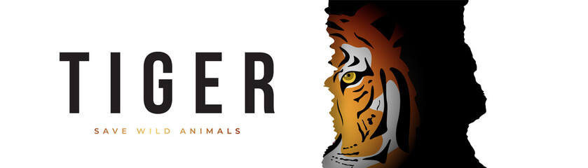 Tiger eye looking through torn paper. Wild animal concept banner. Vector tiger illustration.