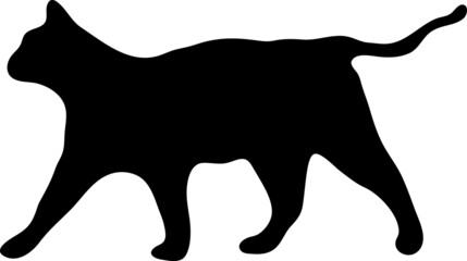 vector cat icon. cat sign on white background..eps