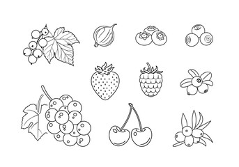 Outline berry fruit set. Vector simple icons. Silhouette of raspberry, strawberry, currant, grape, cherry, blueberry, bilberry and gooseberry.
